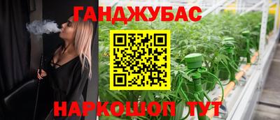 spice Кинель