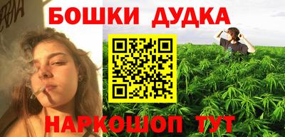 spice Кинель